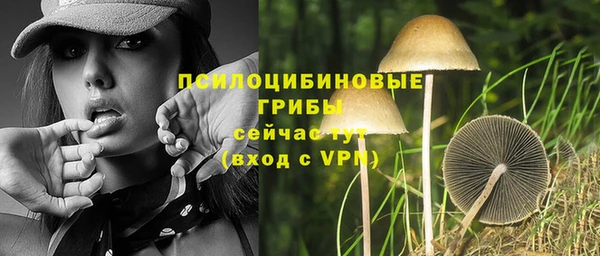 тгк Каменка