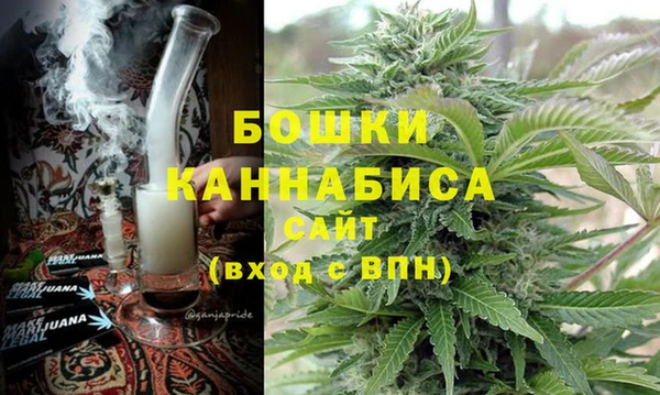 тгк Каменка