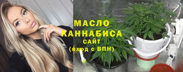 тгк Каменка