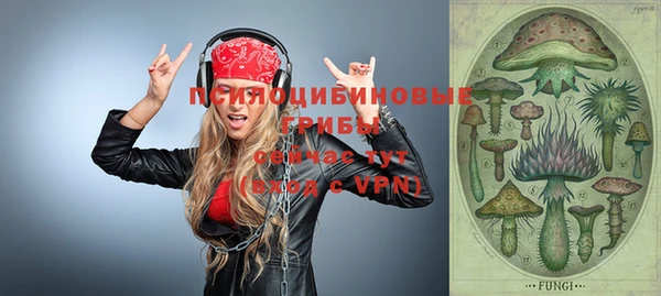 гашик Тында