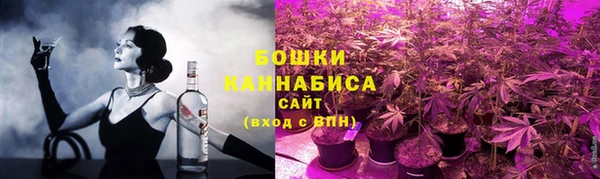 тгк Каменка