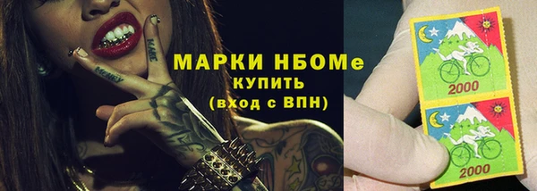 тгк Каменка